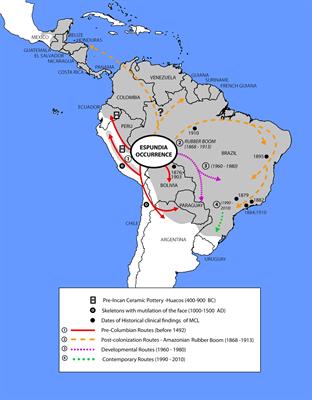 Anthropogenic Dispersal of Leishmania (Viannia) braziliensis in the Americas: A Plausible Hypothesis